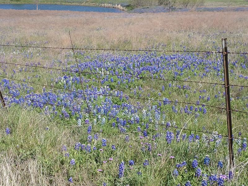 2013-04-14 11.19.47.jpg